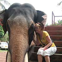 Elephantwhisperer